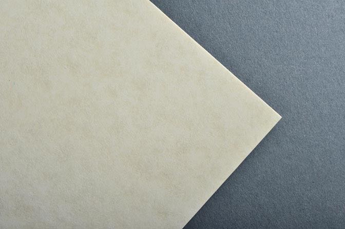 Natural Parchtone Business Card & Stationery Stock