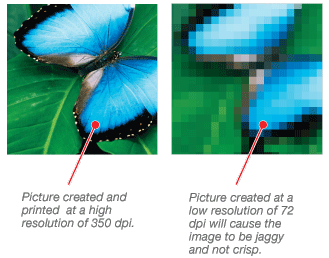 High Resolution vs. Low Resolution Images