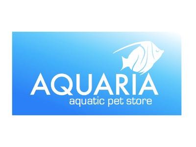 Aquarium_1