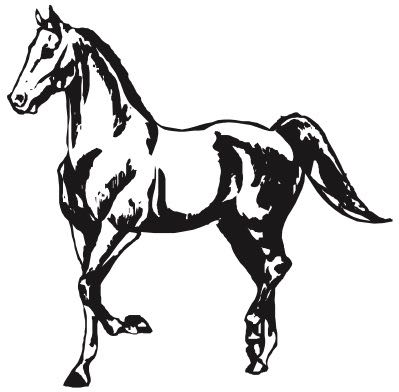 Pa 195