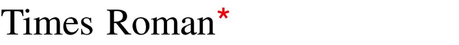Times Roman Typeface